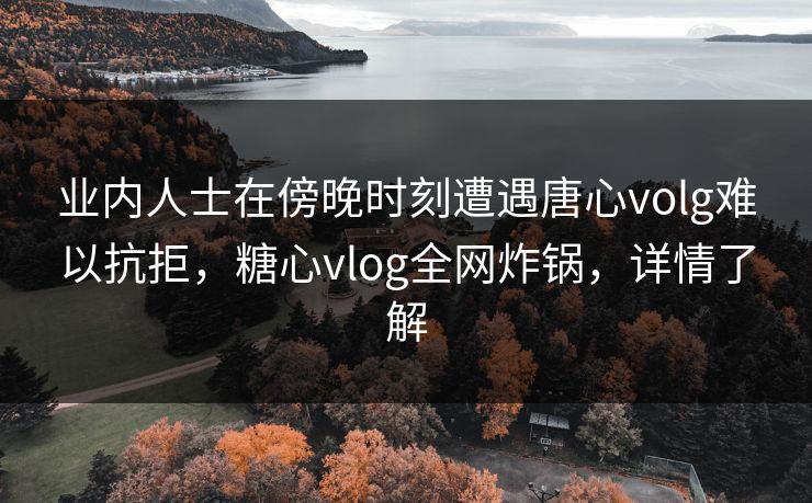业内人士在傍晚时刻遭遇唐心volg难以抗拒，糖心vlog全网炸锅，详情了解