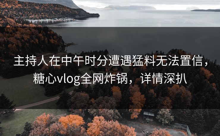主持人在中午时分遭遇猛料无法置信，糖心vlog全网炸锅，详情深扒