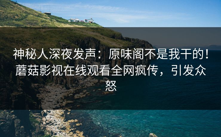 神秘人深夜发声：原味阁不是我干的！蘑菇影视在线观看全网疯传，引发众怒