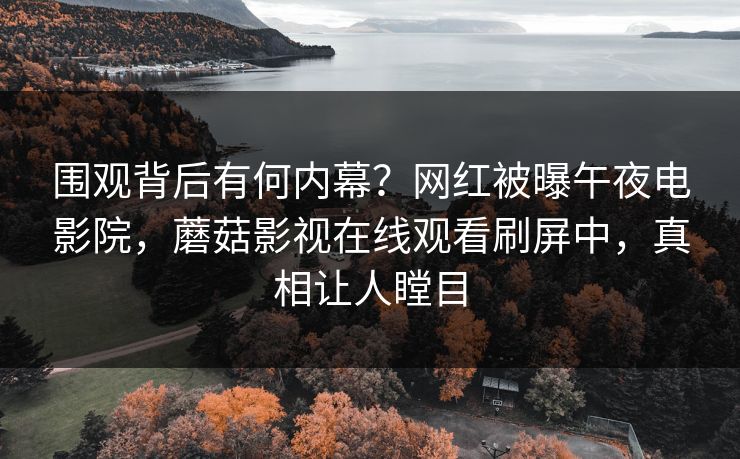 围观背后有何内幕？网红被曝午夜电影院，蘑菇影视在线观看刷屏中，真相让人瞠目
