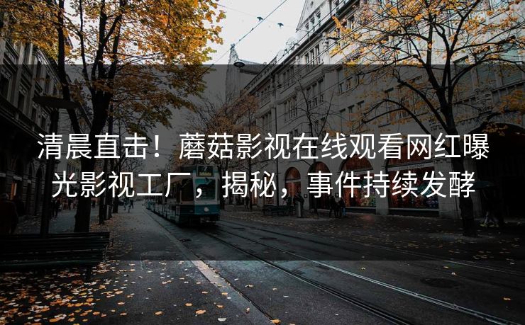 清晨直击！蘑菇影视在线观看网红曝光影视工厂，揭秘，事件持续发酵