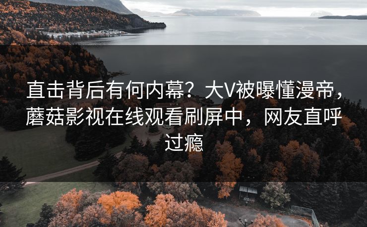 直击背后有何内幕？大V被曝懂漫帝，蘑菇影视在线观看刷屏中，网友直呼过瘾