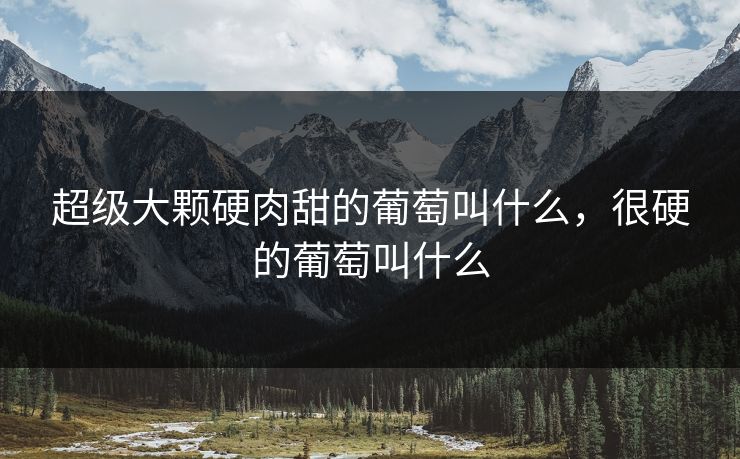 超级大颗硬肉甜的葡萄叫什么，很硬的葡萄叫什么