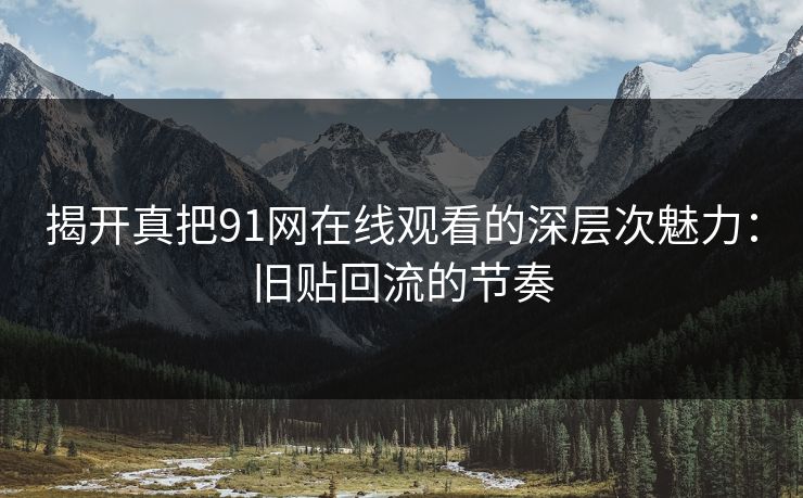 揭开真把91网在线观看的深层次魅力：旧贴回流的节奏